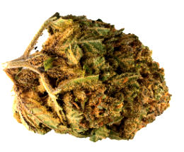 Fleur CBD Bubble Gum